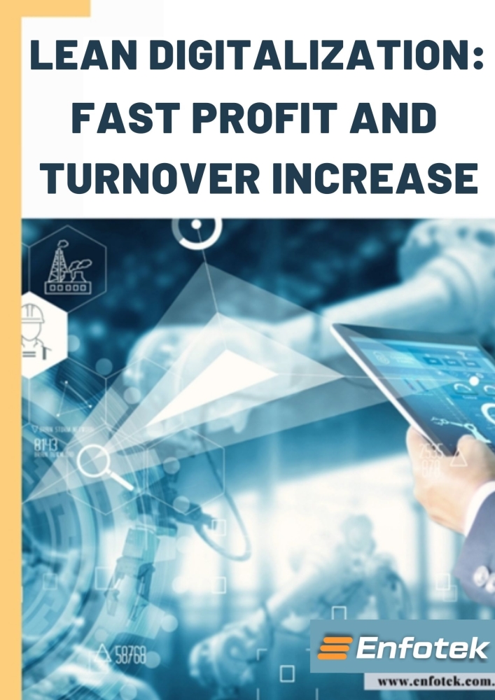 LEAN DIGITALIZATION: FAST PROFIT AND TURNOVER INCREASE